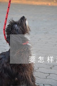 要怎样通过法律途径解决问题 要怎样通过法律途径解决问题