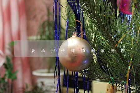 要承担法律和刑事责任 要承担法律和刑事责任