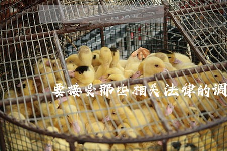 要接受那些相关法律的调整 要接受那些相关法律的调整