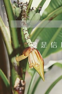 要是信用卡逾期怎么周转 要是信用卡逾期怎么周转