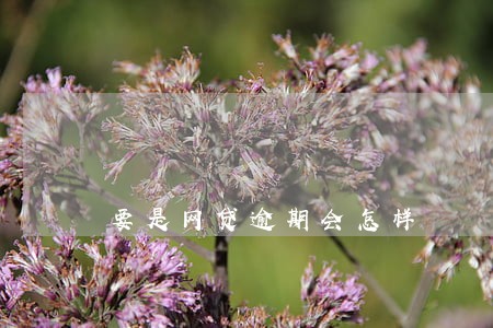 要是网贷逾期会怎样 要是网贷逾期会怎样