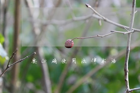 要正确使用法律术语 要正确使用法律术语