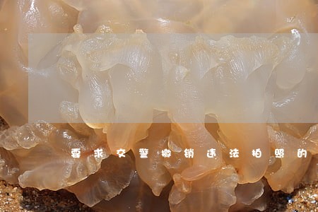 要求交警撤销违法拍照的申请书 要求交警撤销违法拍照的申请书
