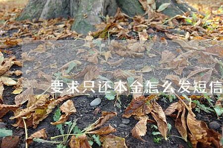 要求只还本金怎么发短信内容 要求只还本金怎么发短信内容