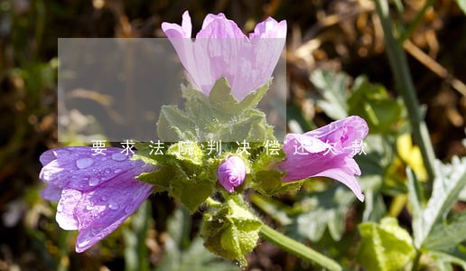 要求法院判决偿还欠款 要求法院判决偿还欠款