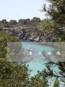 要求法院判决后申请强制执行 要求法院判决后申请强制执行