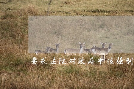 要求法院对政府单位强制执行 要求法院对政府单位强制执行