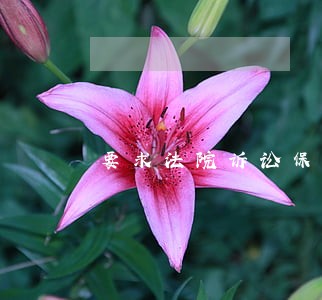 要求法院诉讼保全房产担保流程