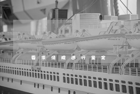 要求法院进行鉴定 要求法院进行鉴定