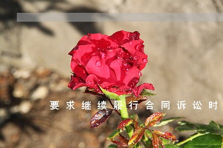 要求继续履行合同诉讼时效 要求继续履行合同诉讼时效
