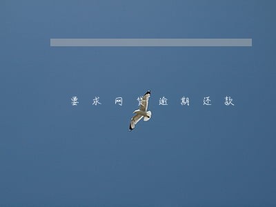 要求网贷逾期还款