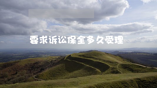 要求诉讼保全多久受理 要求诉讼保全多久受理