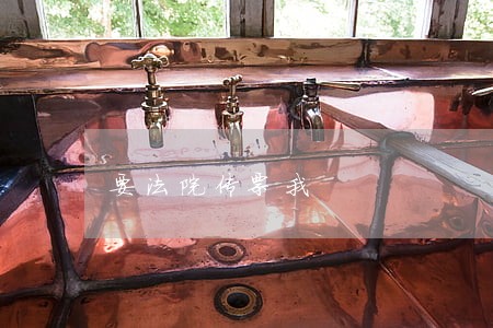 要法院传票我