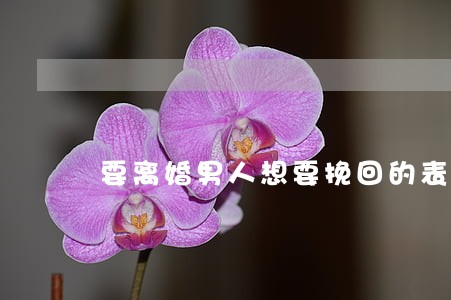 要离婚男人想要挽回的表现 要离婚男人想要挽回的表现