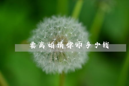 要离婚请律师多少钱 要离婚请律师多少钱