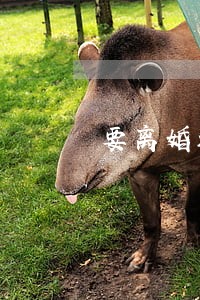 要离婚还要孩子什么心理 要离婚还要孩子什么心理