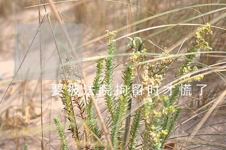 要被法院拘留时才慌了 要被法院拘留时才慌了