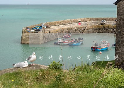 要账请要账公司违法吗 要账请要账公司违法吗