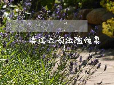 要过去领法院传票