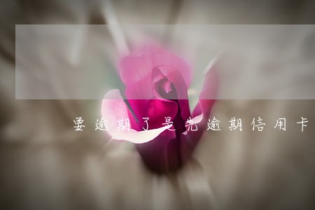 要逾期了是先逾期信用卡还是网贷