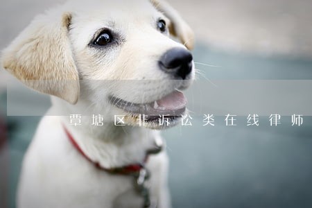 覃塘区非诉讼类在线律师 覃塘区非诉讼类在线律师
