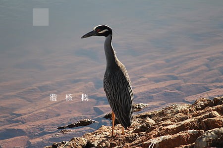 覆核概論 覆核概論