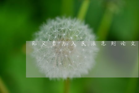 见义勇为入民法总则论文 见义勇为入民法总则论文