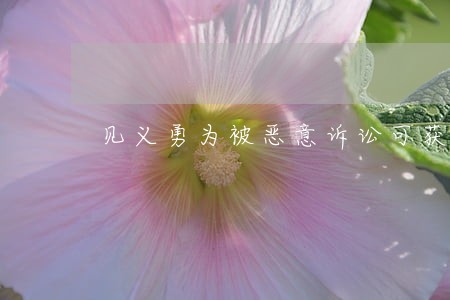 见义勇为被恶意诉讼可获法援