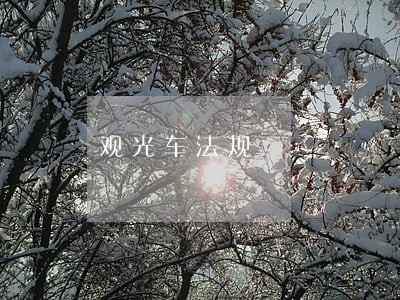 观光车法规 观光车法规