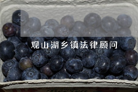 观山湖乡镇法律顾问 观山湖乡镇法律顾问