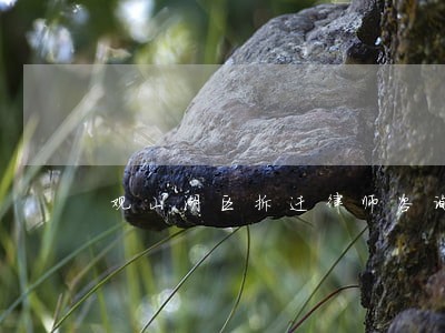 观山湖区拆迁律师咨询 观山湖区拆迁律师咨询