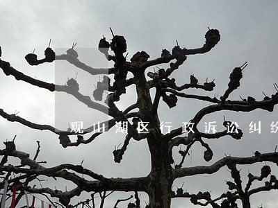 观山湖区行政诉讼纠纷律师费多少 观山湖区行政诉讼纠纷律师费多少