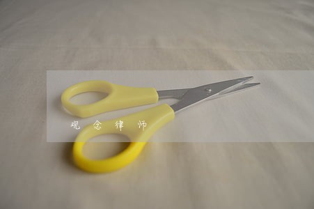 观念律师 观念律师