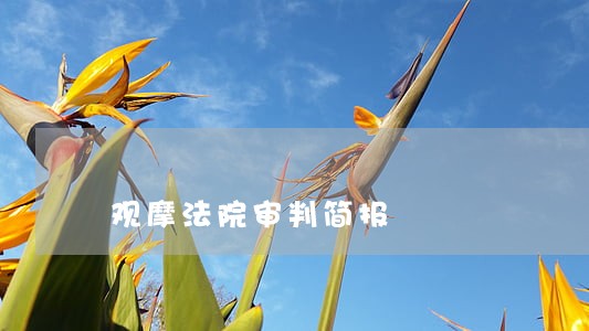 观摩法院审判简报 观摩法院审判简报