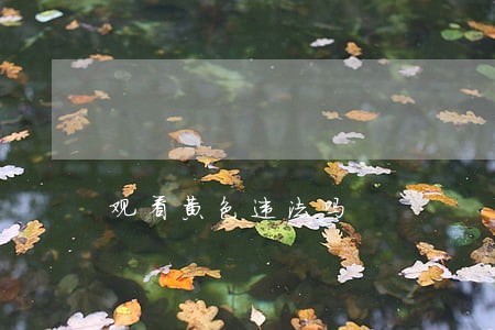 观看黄色违法吗 观看黄色违法吗