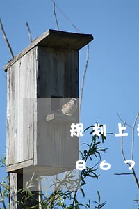 规划上源头管控违法建设/2023012867550