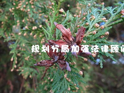规划分局加强法律顾问制度建设 规划分局加强法律顾问制度建设