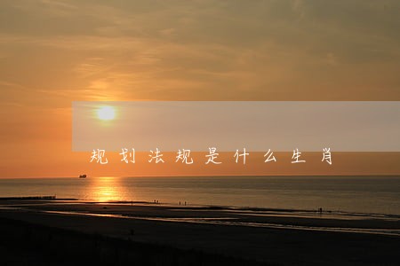规划法规是什么生肖