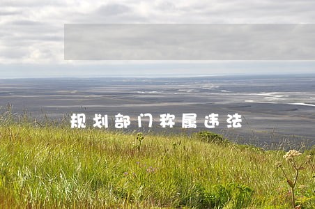 规划部门称属违法 规划部门称属违法