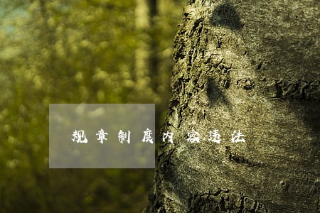 规章制度内容违法