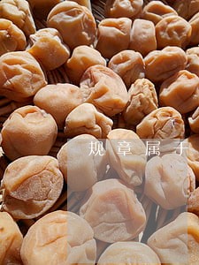 规章属于行政法规吗
