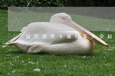 规范信用卡逾期多久会起诉 规范信用卡逾期多久会起诉