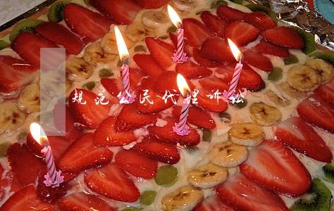 规范公民代理诉讼