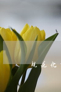 规范化诉讼服务的通知 规范化诉讼服务的通知
