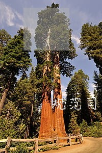 规范司法解释制定程序 规范司法解释制定程序