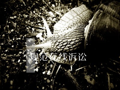 规范在线诉讼 规范在线诉讼