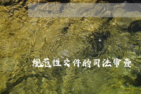 规范性文件的司法审查 规范性文件的司法审查