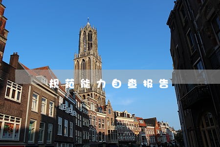 规范能力自查报告 规范能力自查报告