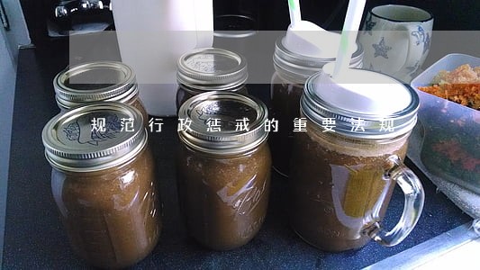 规范行政惩戒的重要法规 规范行政惩戒的重要法规