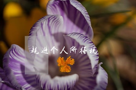 规避个人所得税